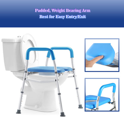 Raised Toilet Seat with Handles